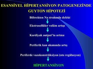 hipertansiyon patogenezi)